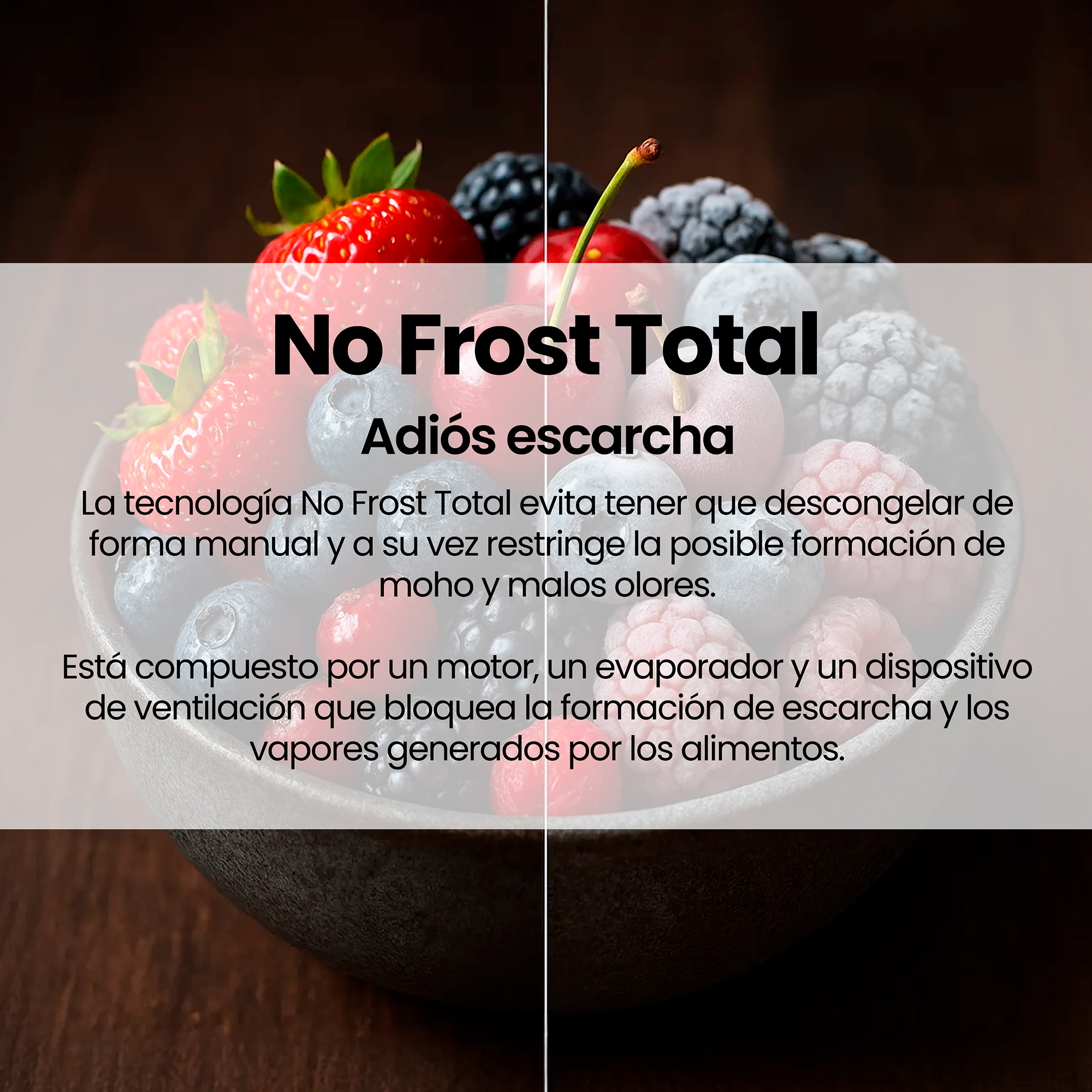 FG-420TD76XES Infiniton - 10