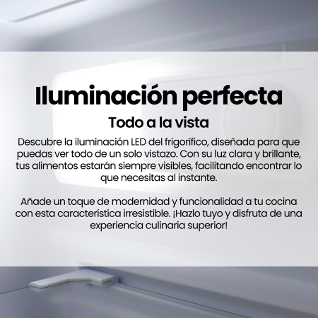 FG-248TD67WEN Infiniton - 10