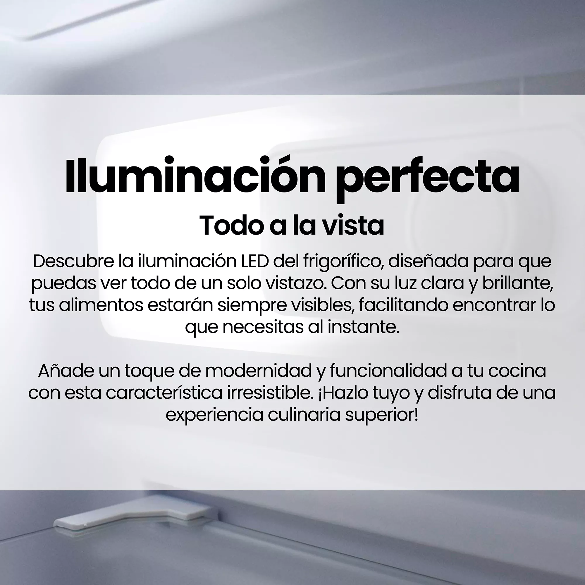 FG-239D16XEV2 Infiniton - 11