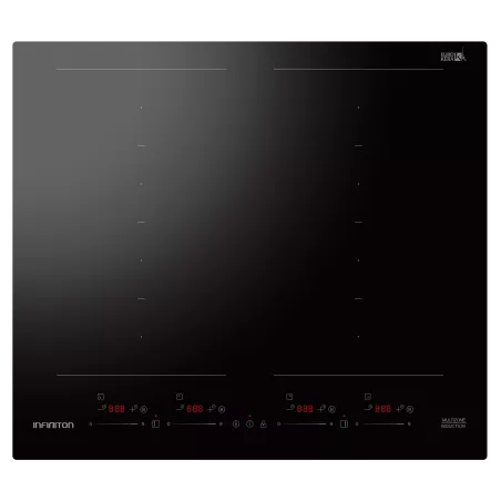 INDUCCIóN MULTIZONA