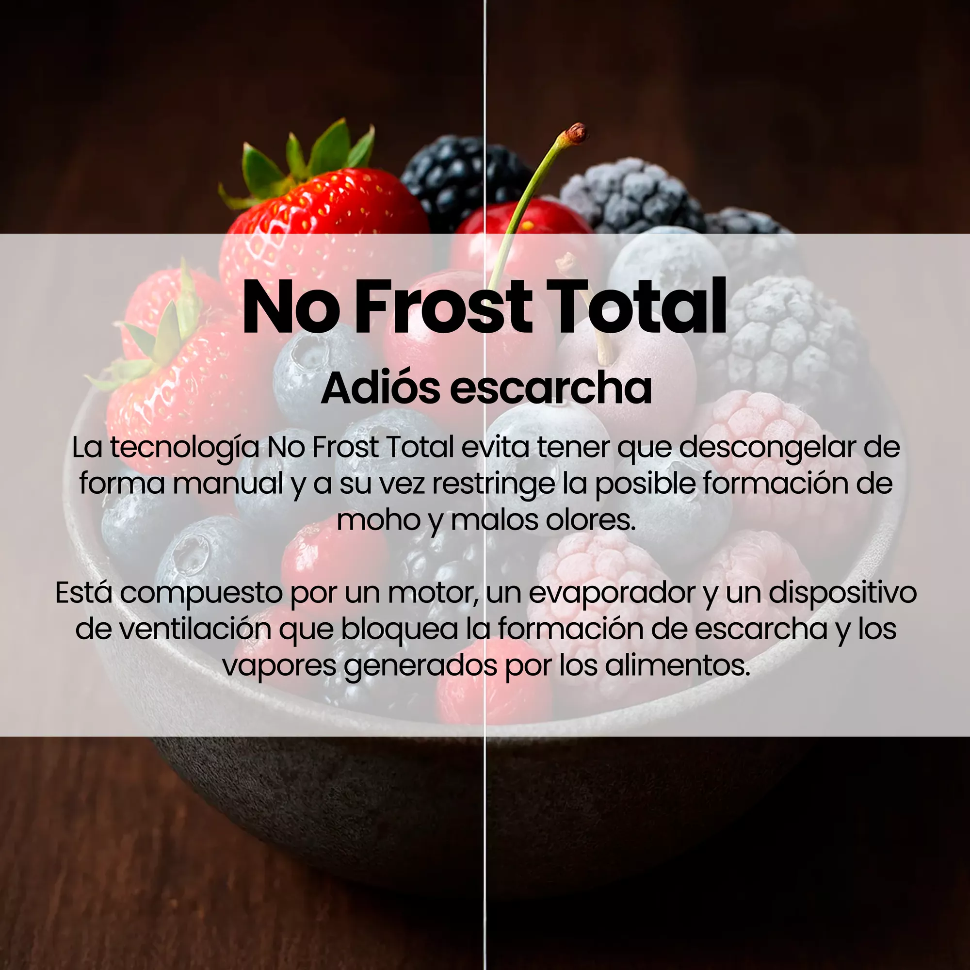 FGC-853DX Infiniton - 6