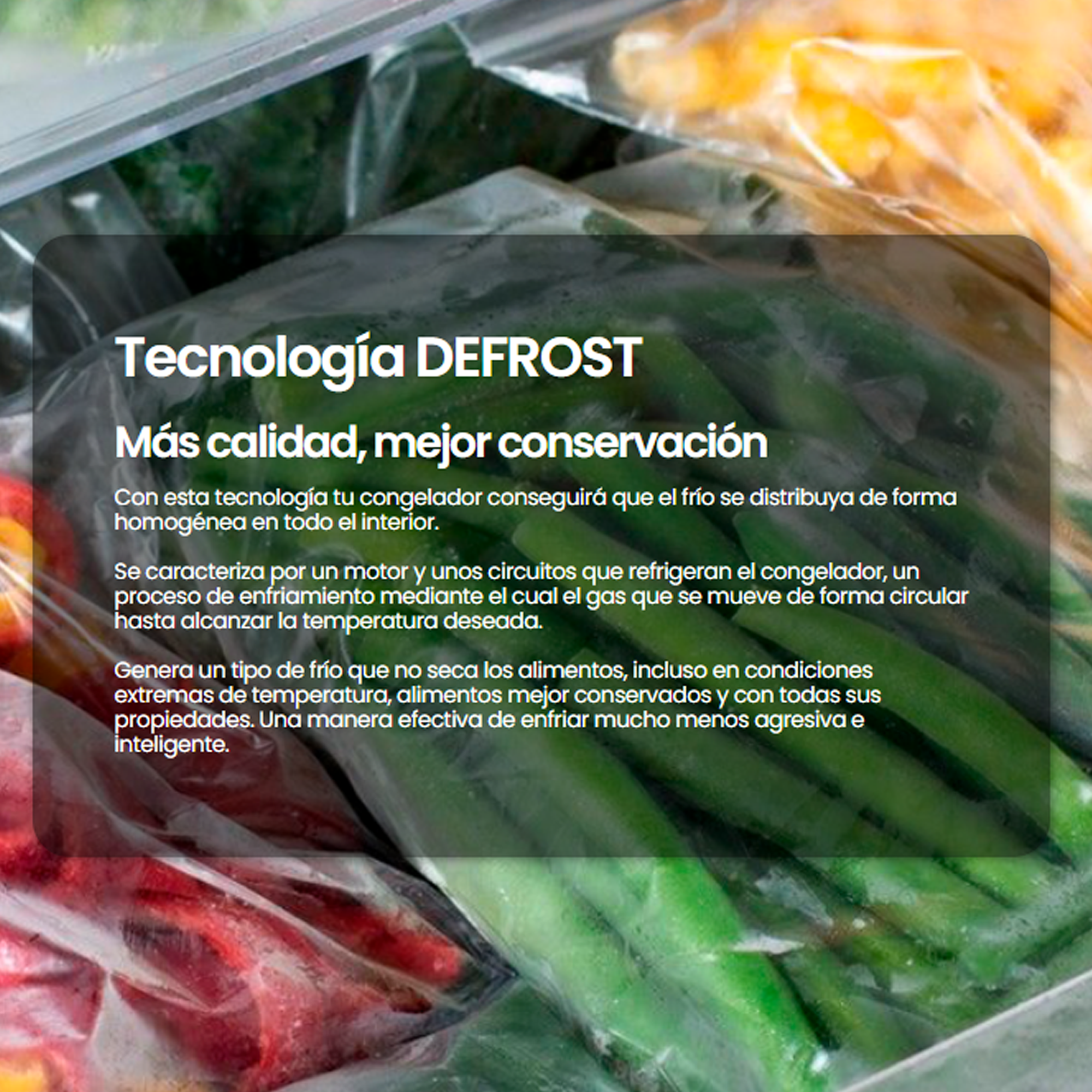 CV-172L14XEV Infiniton - 8