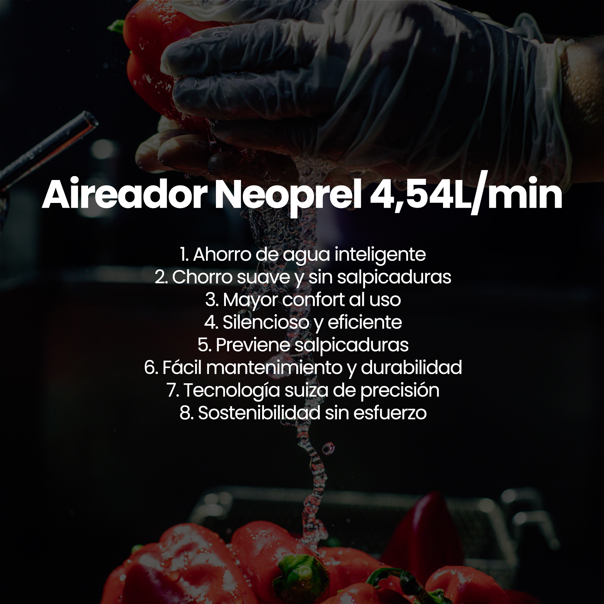 LeónACH341 Infiniton - 8