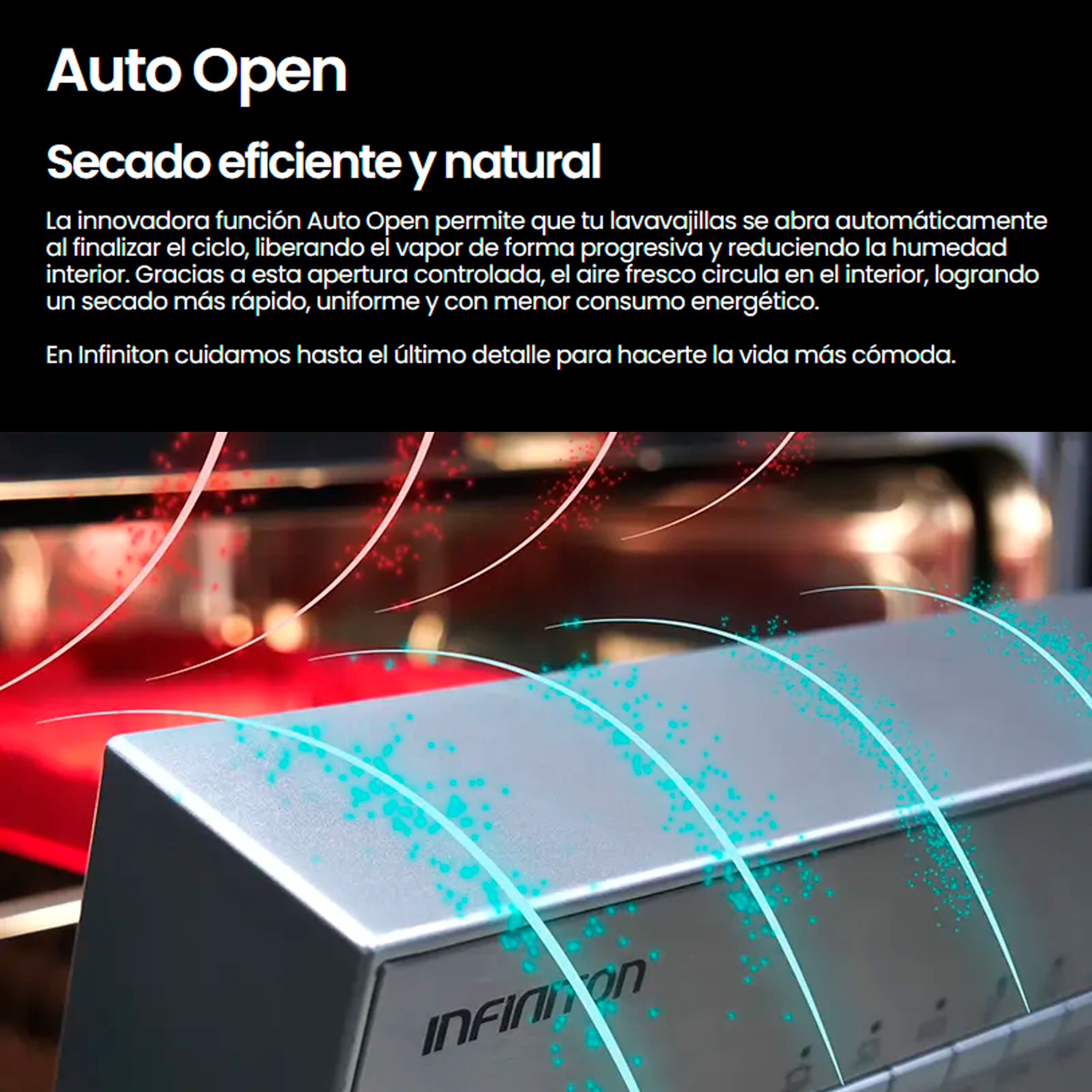 DIW-BI614Cb Infiniton - 5