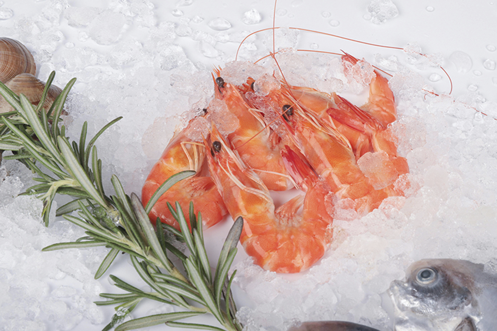 Conjunto de gambas encima de hielo