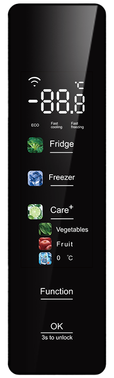 Display del modelo FGC-403C20BDG