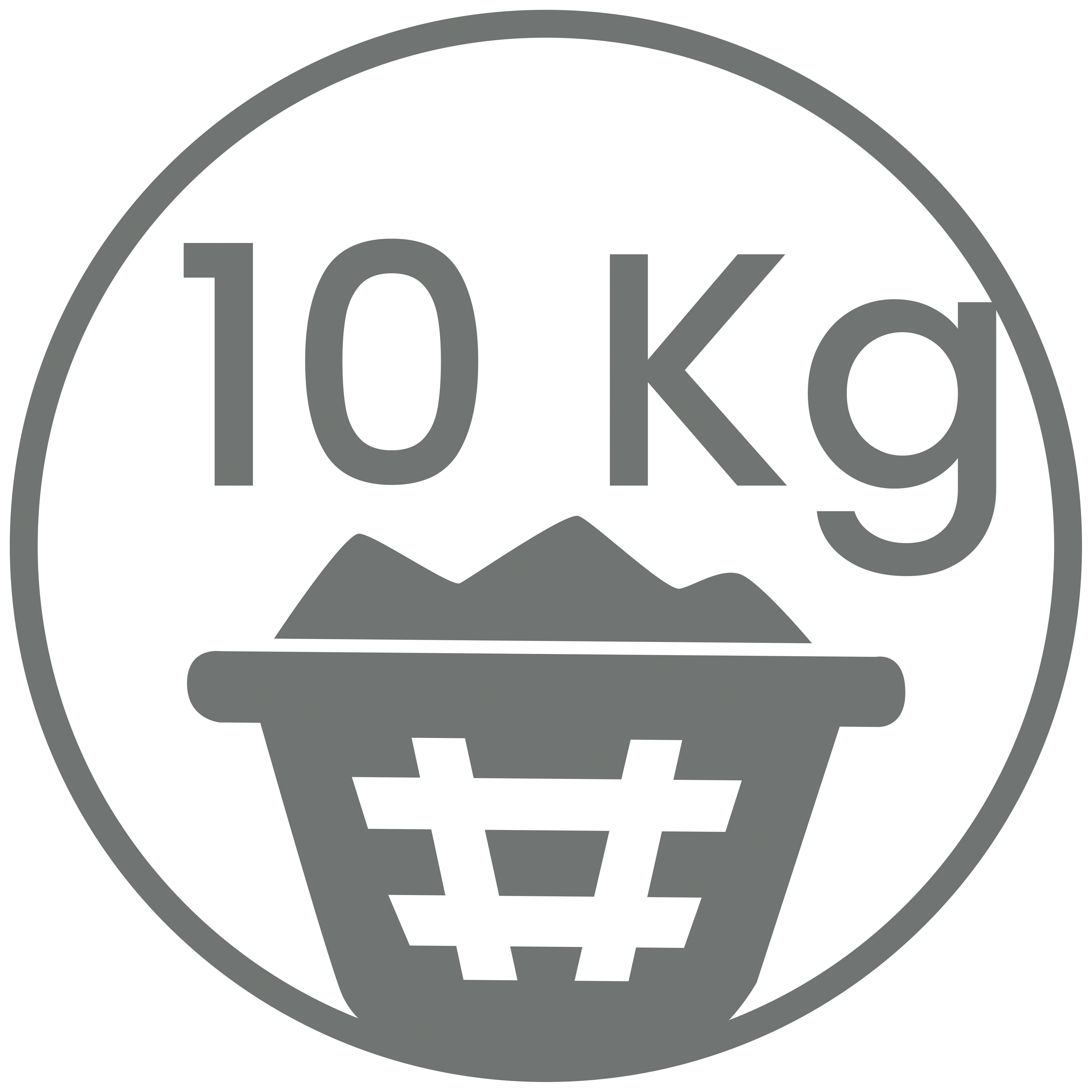 Icono 10kg de capacidad